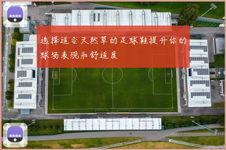 选择适合天然草的足球鞋提升你的球场表现和舒适度