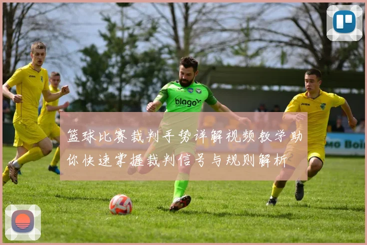 篮球比赛裁判手势详解视频教学助你快速掌握裁判信号与规则解析