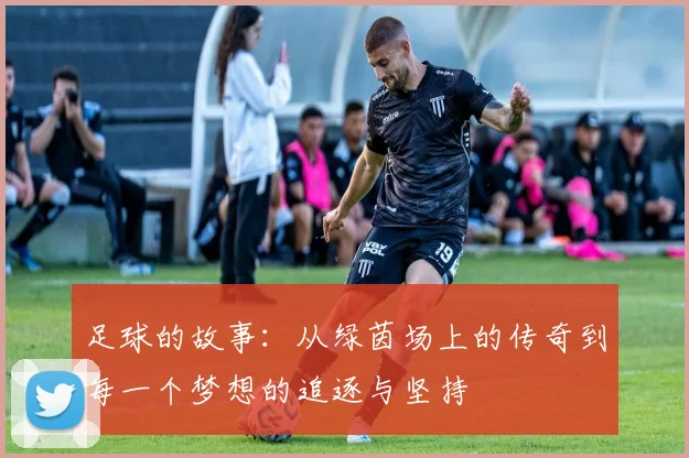足球的故事：从绿茵场上的传奇到每一个梦想的追逐与坚持
